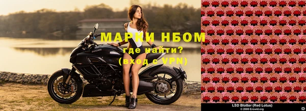 эйфоретик Белоозёрский
