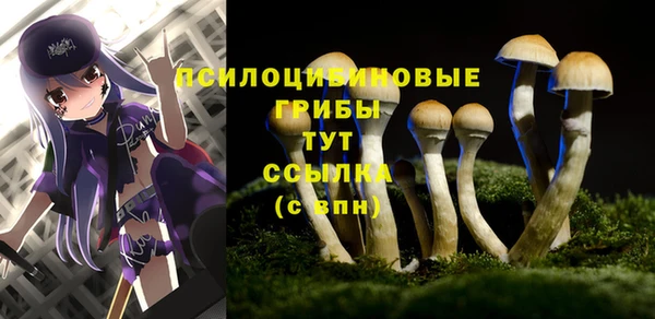 не бодяженный Беломорск
