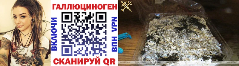Галлюциногенные грибы Cubensis Кораблино